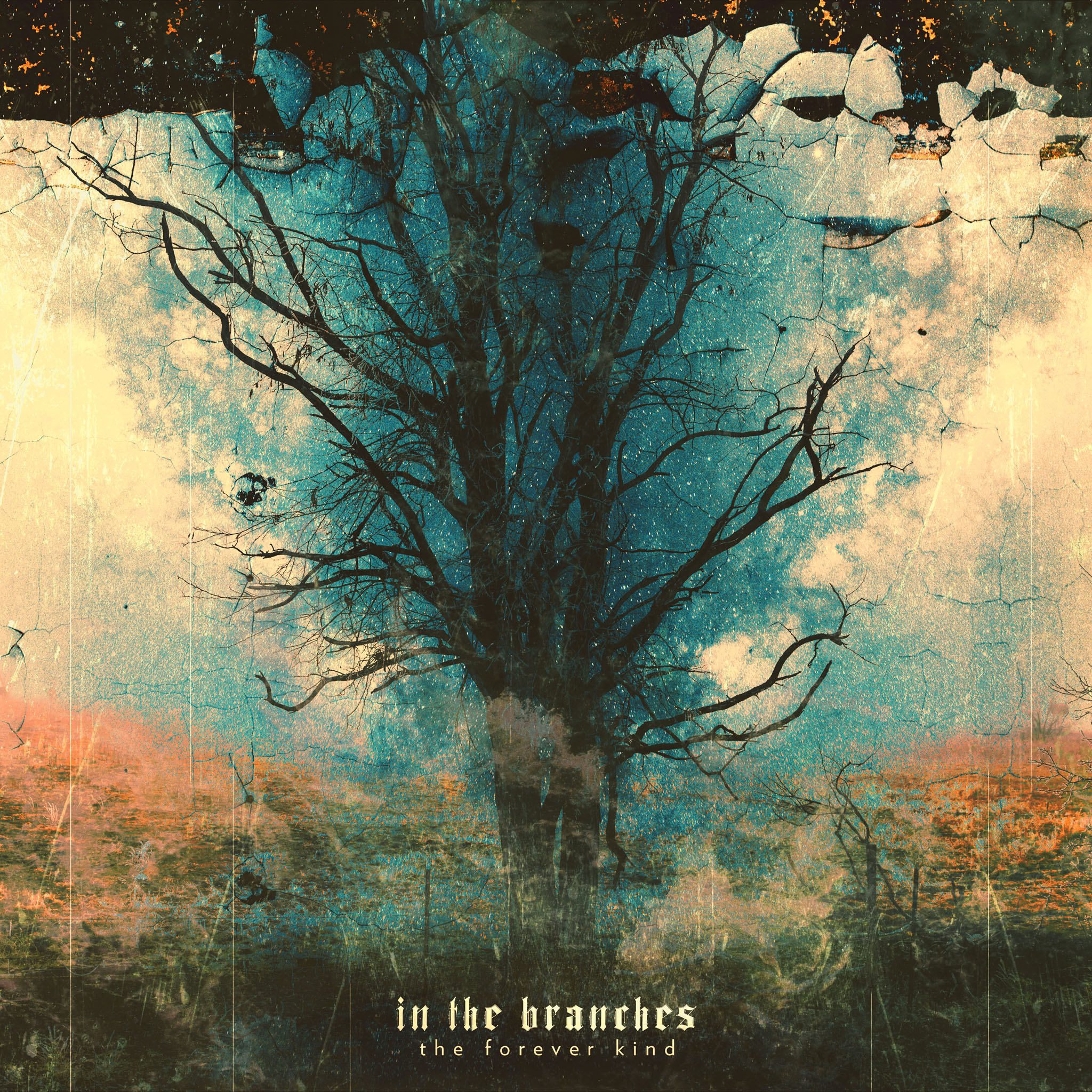 In The Branches - The Forever Kind (album cover)