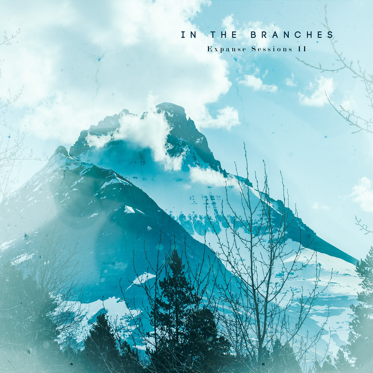 In The Branches - Expanse Sessions II
