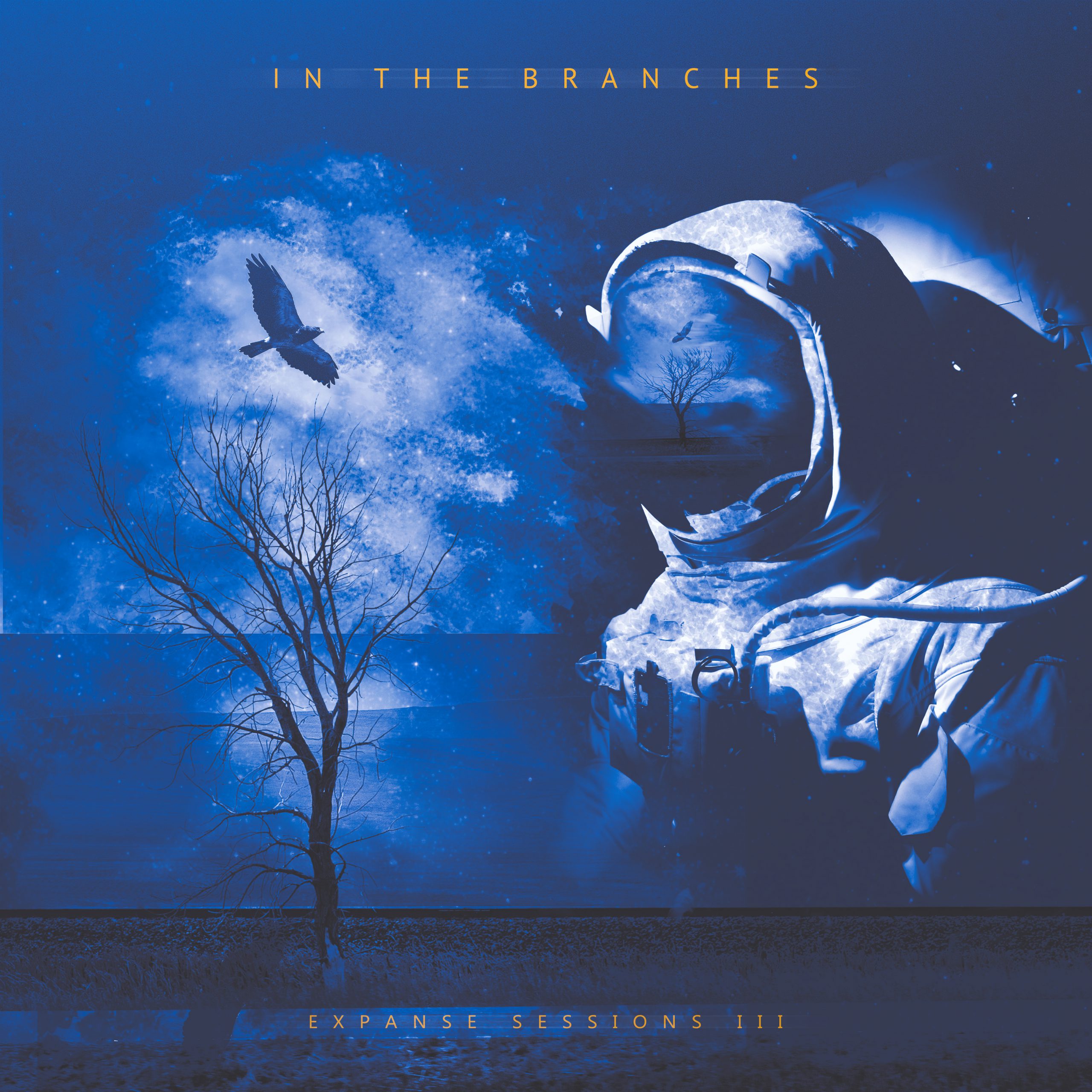 In The Branches - Expanse Sessions III