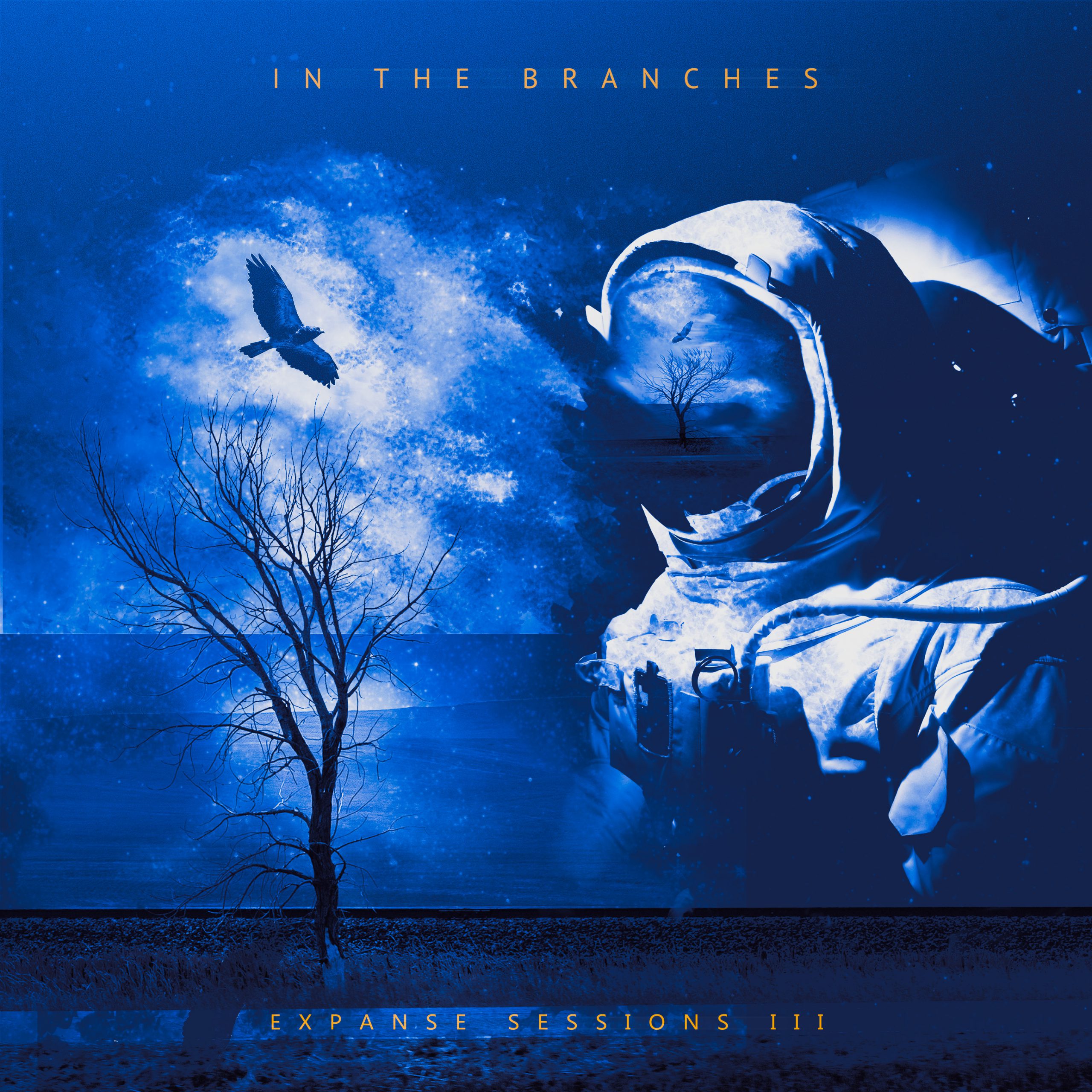 In The Branches - Expanse Sessions III (Cover)